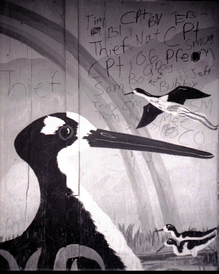 Bird Mural And Graffiti Photograph by Doug Duffey