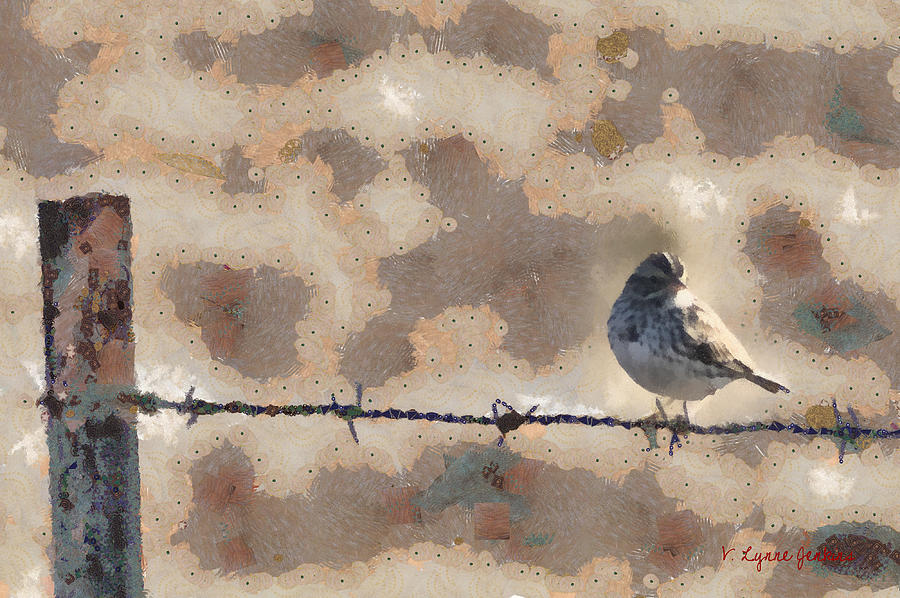 Bird on a Wire Digital Art by Lynne Jenkins
