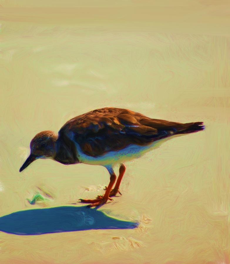 Bird on Daytona Beach Photograph by David Lane