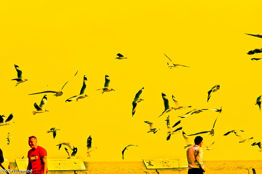 Bird Photograph - Bird scenery by Kornrawiee Miu Miu