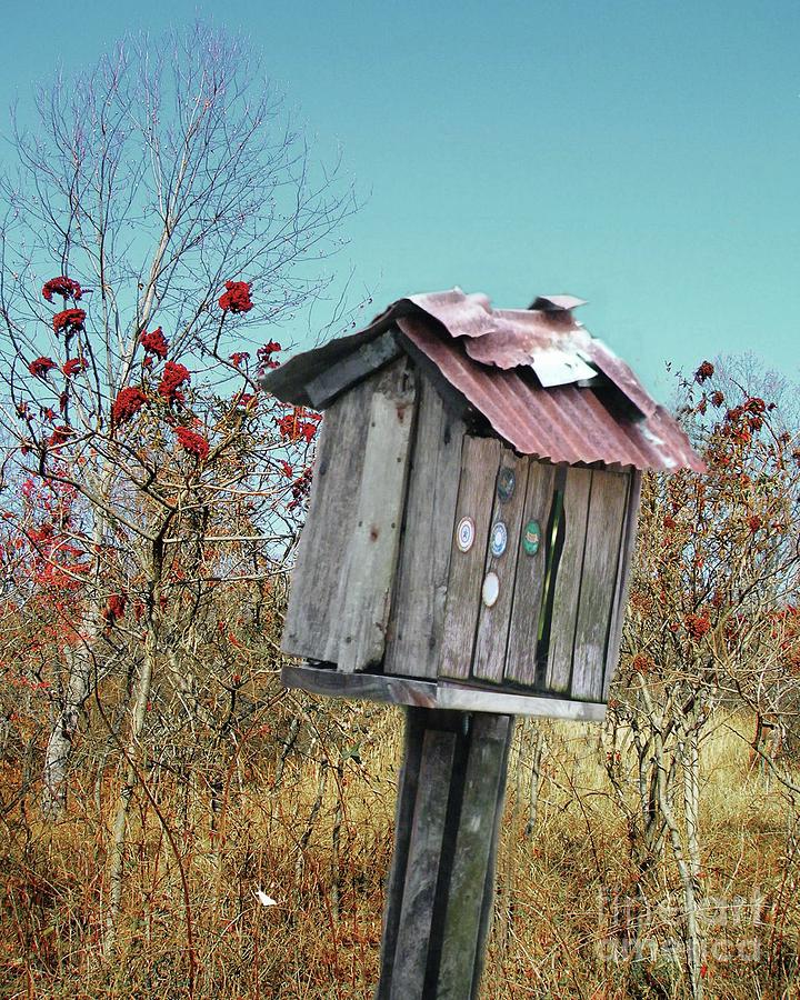 Birdhouse Digital Art - Bird shack by Lizi Beard-Ward