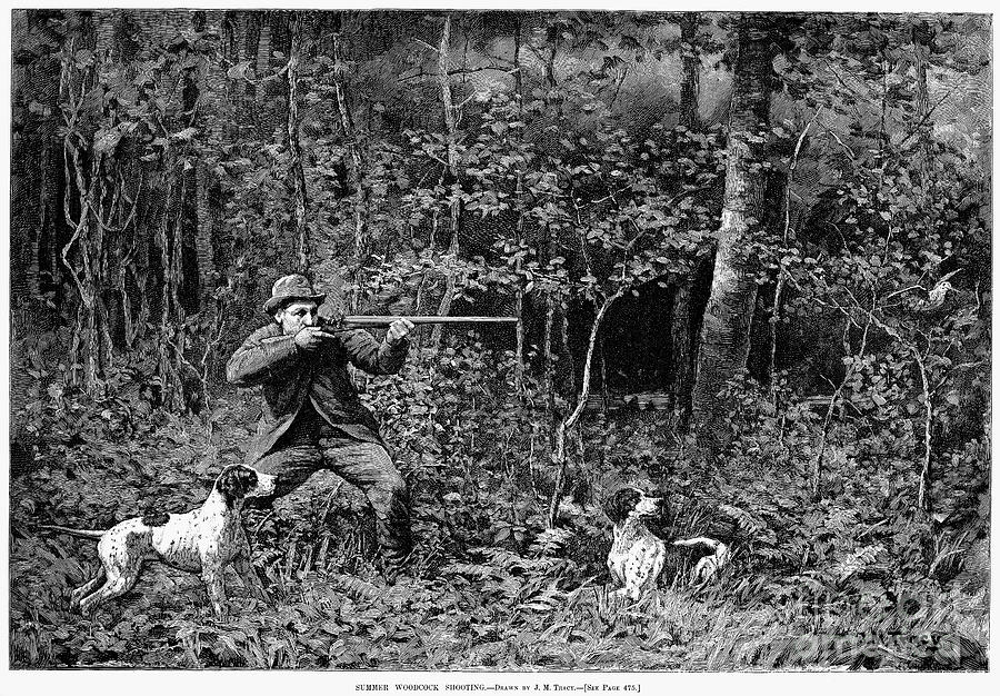 Bird Shooting, 1886 Photograph by Granger