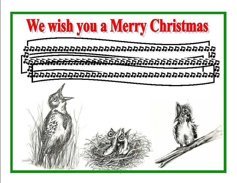 Bird song for Christmas Drawing by Carol Allen Anfinsen