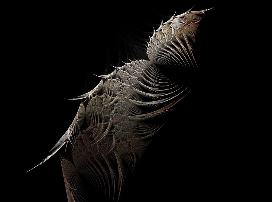 Bird Wings Digital Art by Michele Caporaso