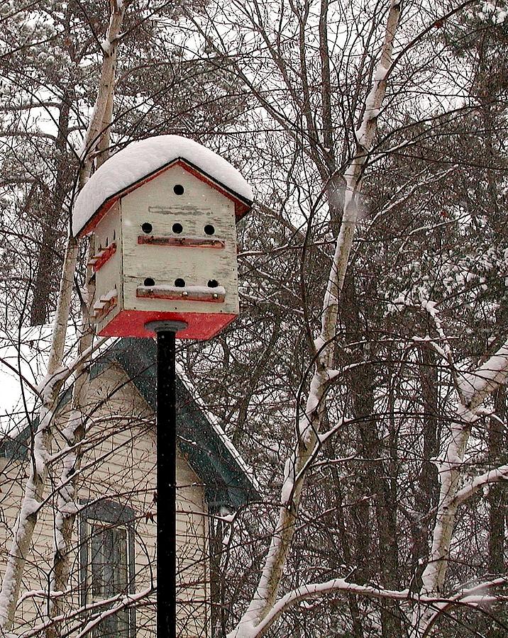 Birdhouse Photograph by Anna Ruzsan