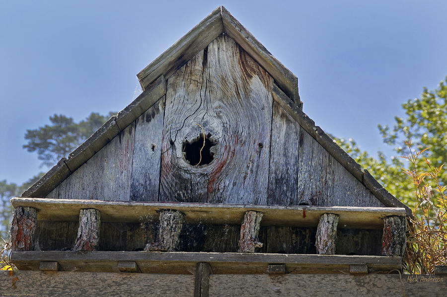 Birdhouse in Cambria Photograph by Mick Anderson