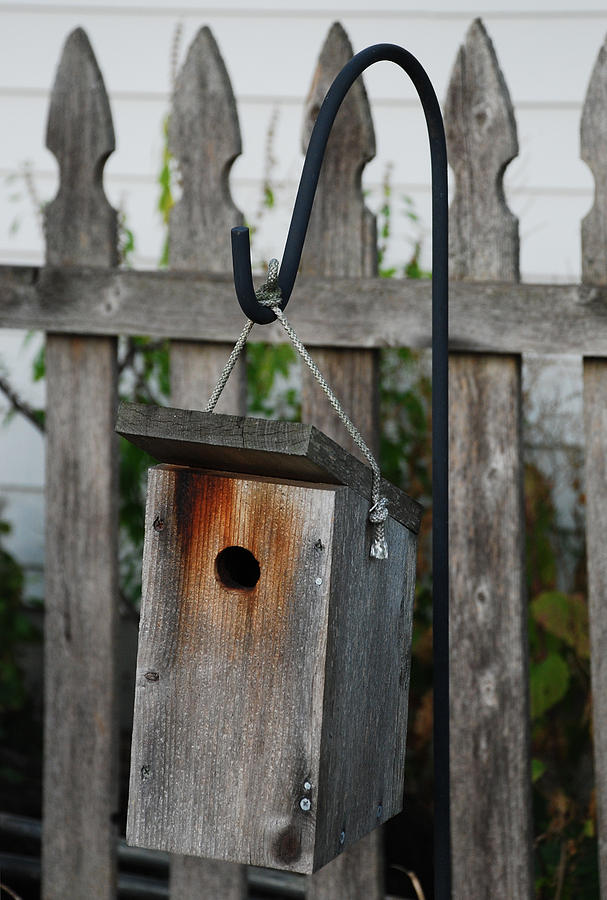 Birdhouse - Vacancy Photograph by Janice Adomeit
