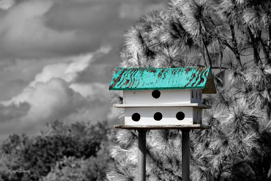 Birdhouse with Teal Roof Photograph by Michelle Constantine