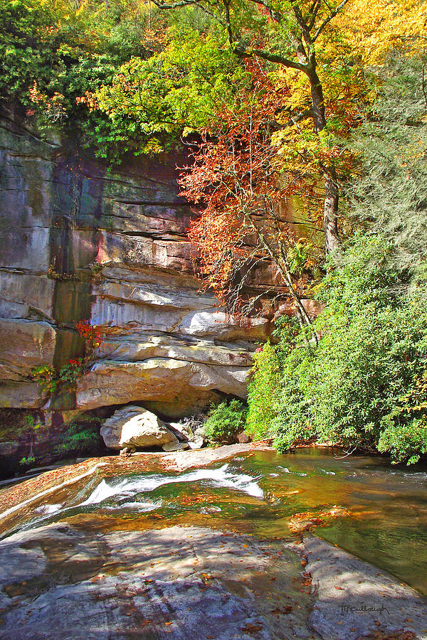 Birdrock Falls in the Fall Photograph by Duane McCullough