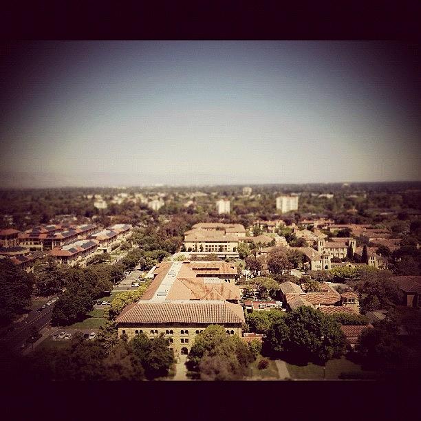 Palo Alto Photograph - Birds Eye View Of Stanford by Dave Bloom
