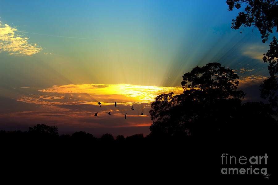 Birds Flying Sunset Photograph by Ms Judi