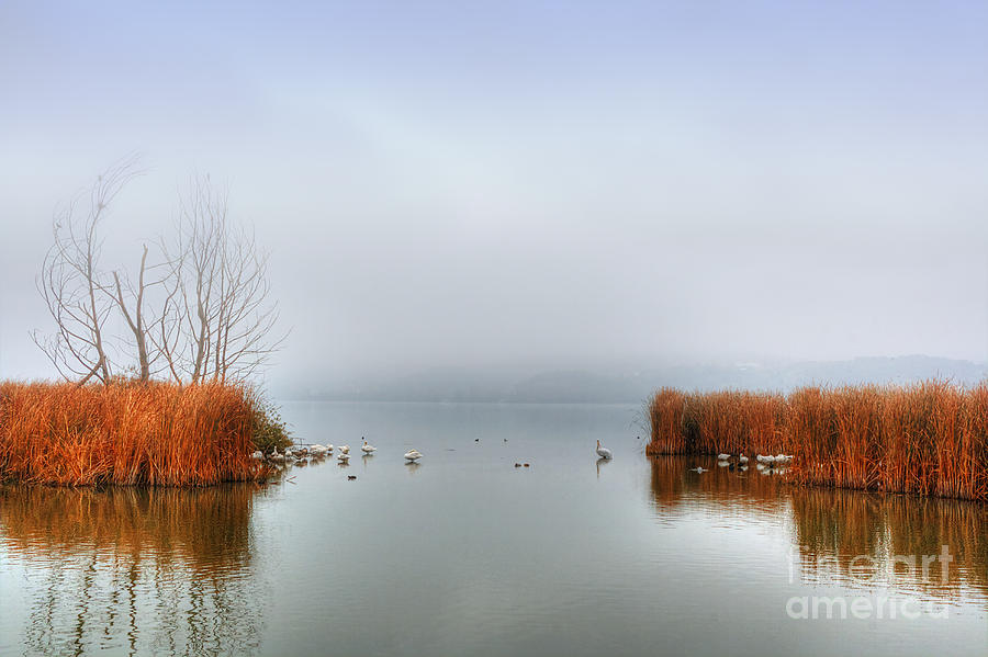 Nature Pyrography - Birds in lake by Soultana Koleska