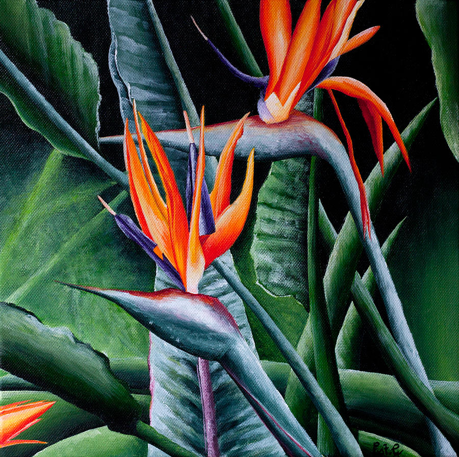 Birds Of Paradise Painting By Ellie St George - Fine Art America