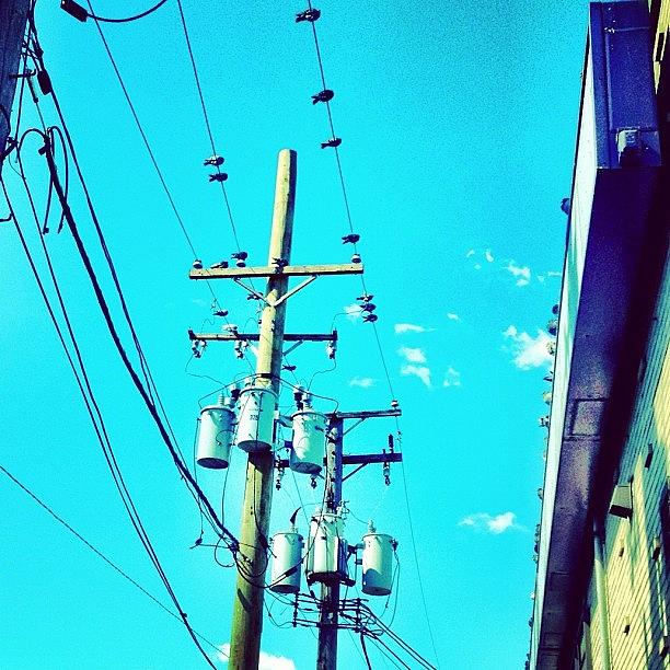 Bird Photograph - Birds On Power Lines. Chicago by Jonathan  Herrera