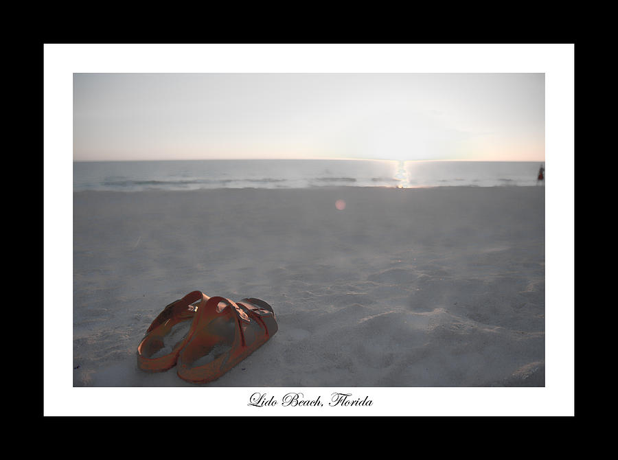 Sunset Photograph - Birks on the Beach by Betsy Knapp