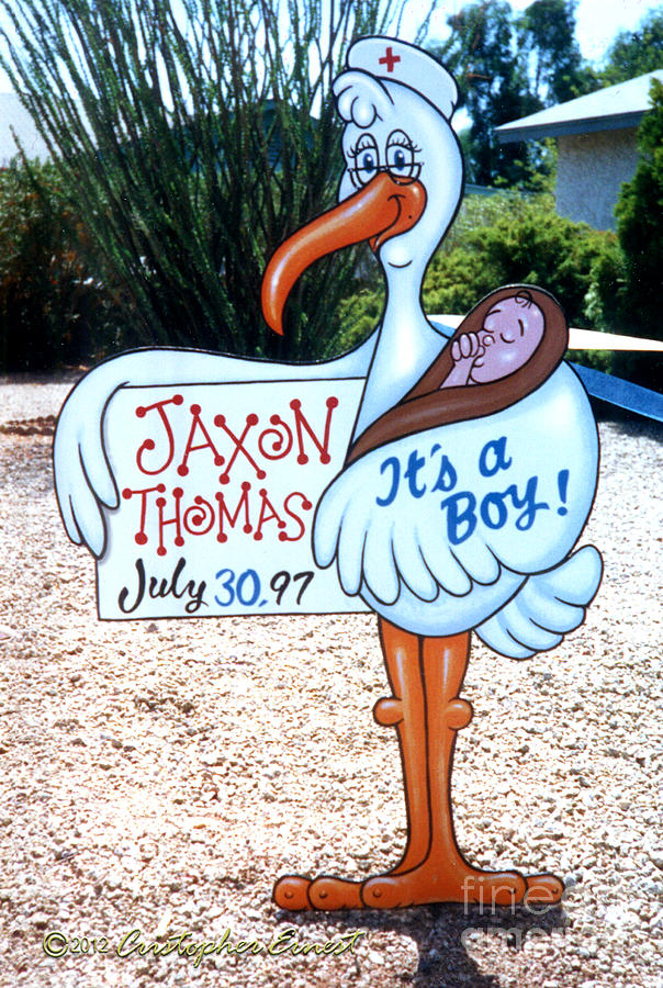 Birth Announcement Stork Painting by Cristophers Dream Artistry