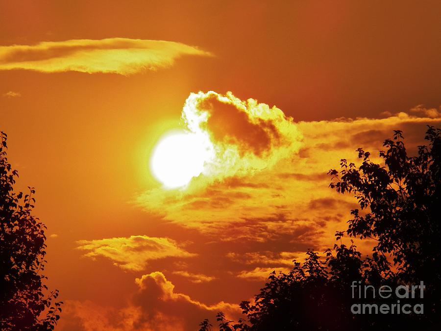 Birth of the Sun Photograph by Judy Via-Wolff