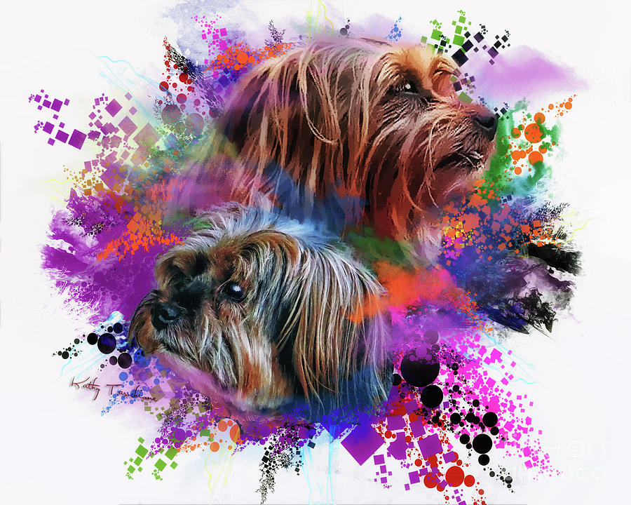 Dog Digital Art - Birthday Boy Shel by Kathy Tarochione