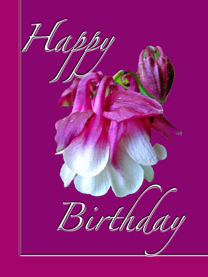 Nature Photograph - Birthday Greeting Card - Columbine Flower by Carol Senske