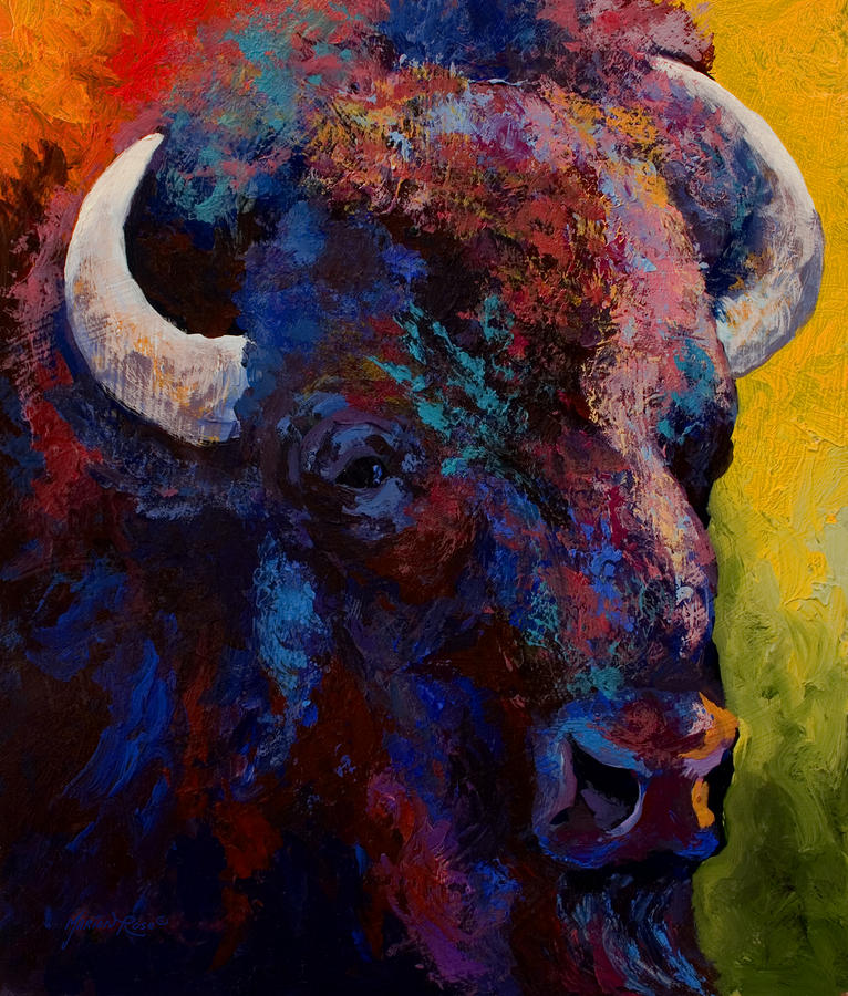 Bison Head Study by Marion Rose