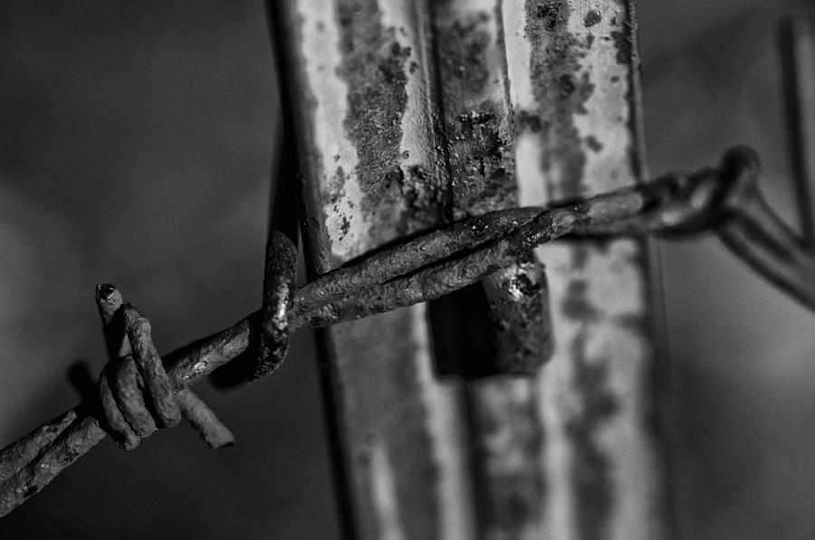 Black and White Barbed Wire Photograph by Wilma  Birdwell