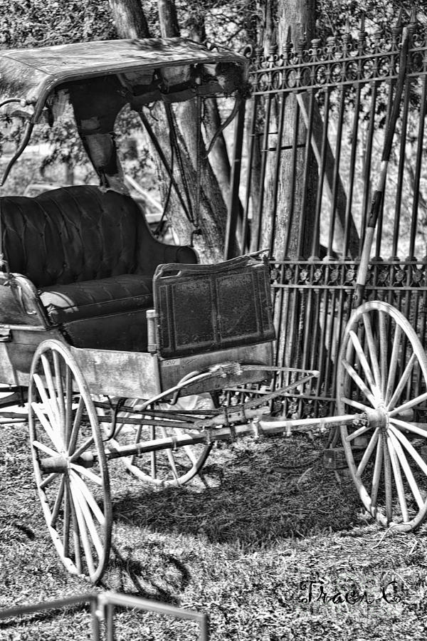 Black and White Buggy Photograph by Traci Cottingham