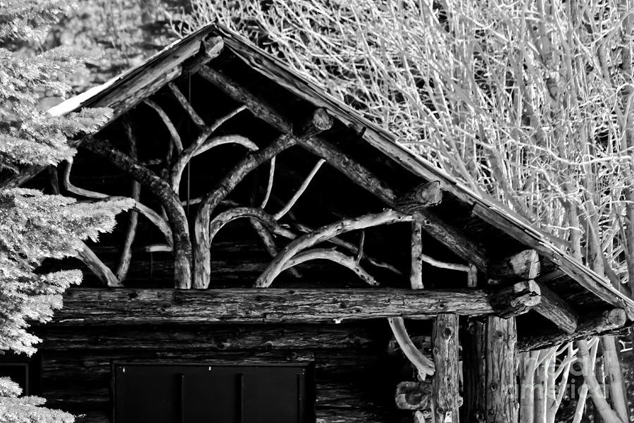 Black And White Cabin Photograph