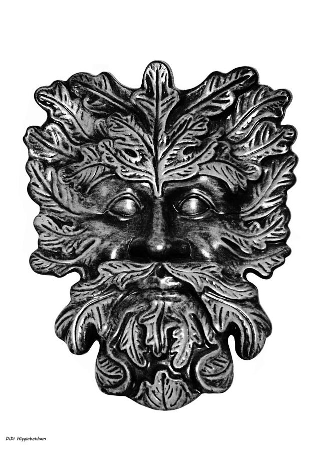 Oak Photograph - Black and White Deity by DiDi Higginbotham Oak Photograph - Black and White Deity by DiDi Higginbotham
