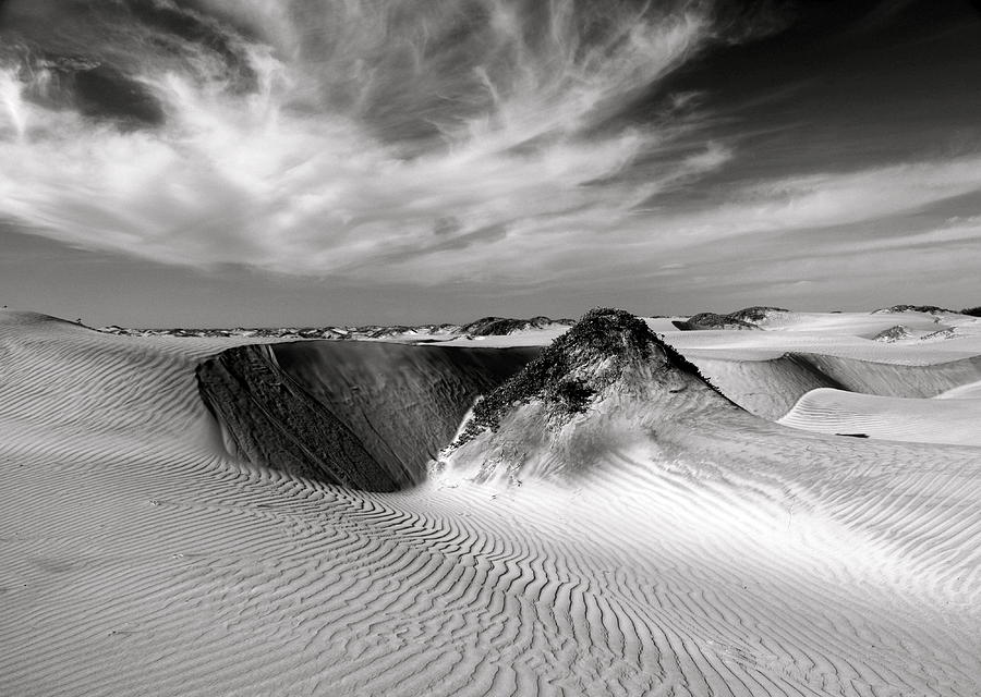 Black and White Dunes Photograph by Michael Cinnamond - Fine Art America