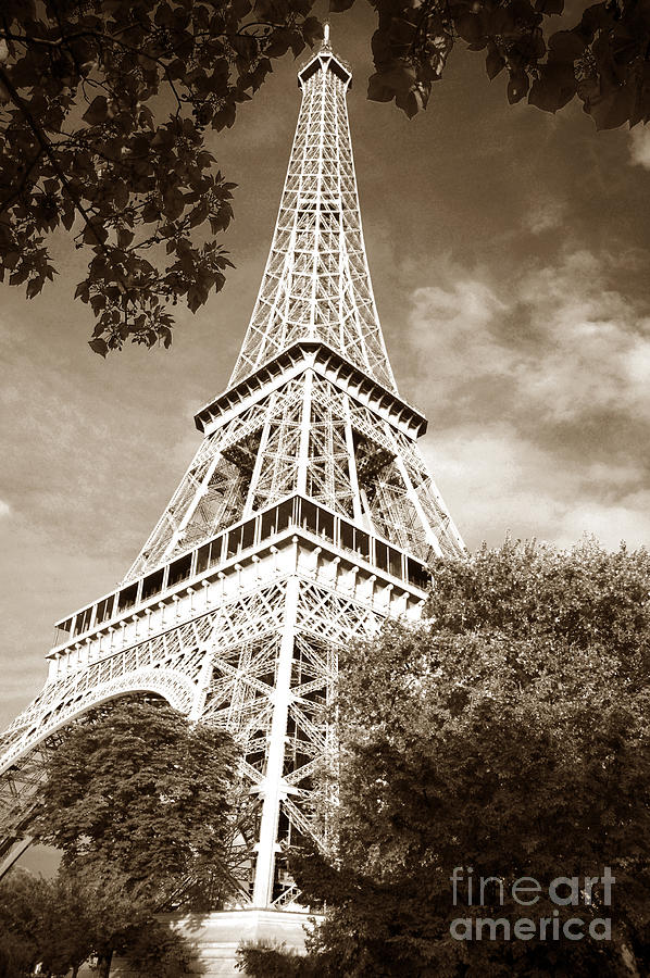 Eiffel Tower in sepia Photograph by Micah May