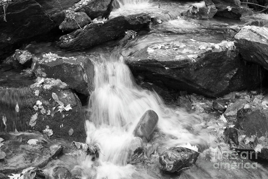 Black and White Mini Waterfall Photograph by Michael Waters Black and White Mini Waterfall Photograph by Michael Waters