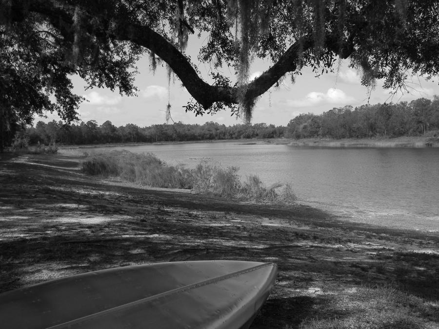 Black and White Mood of Horseshoe Lake Photograph by Warren Thompson