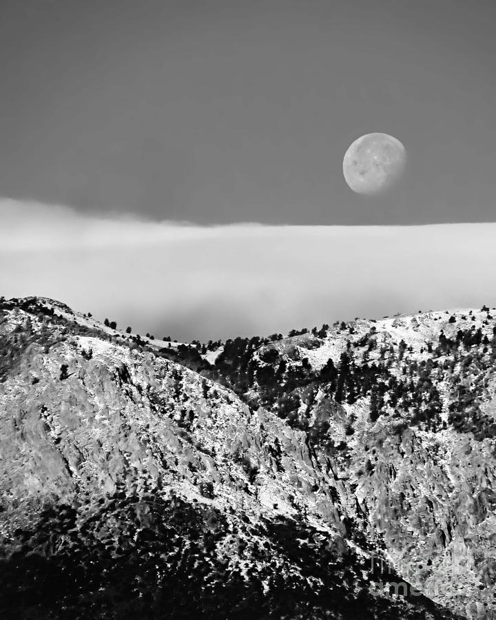 Black and White Morning Moon Photograph by Megan Kilgore - Fine Art America