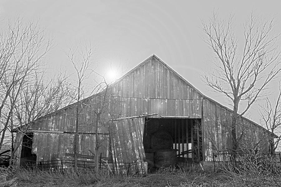 Black And White Old Weathered Barn Photograph by Barbara Dean