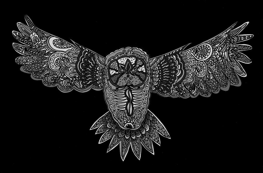 Black And White Owl