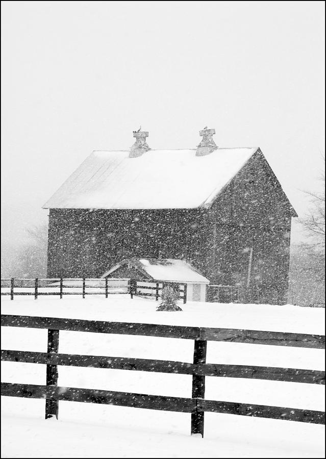 Black and White Photograph of a barn near cannonsburg during a snowstorm Photograph by Randall Nyhof