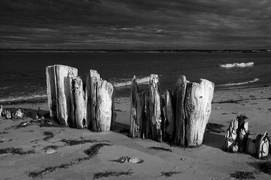 Black And White Photograph Of Shore Pilings On Prince Edward Island Photograph by Randall Nyhof