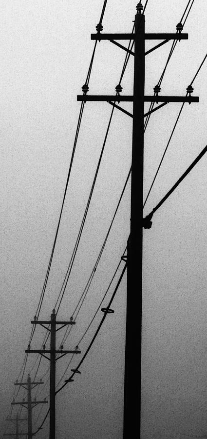 Black and White Poles in Fog Left View Photograph by Tony Grider