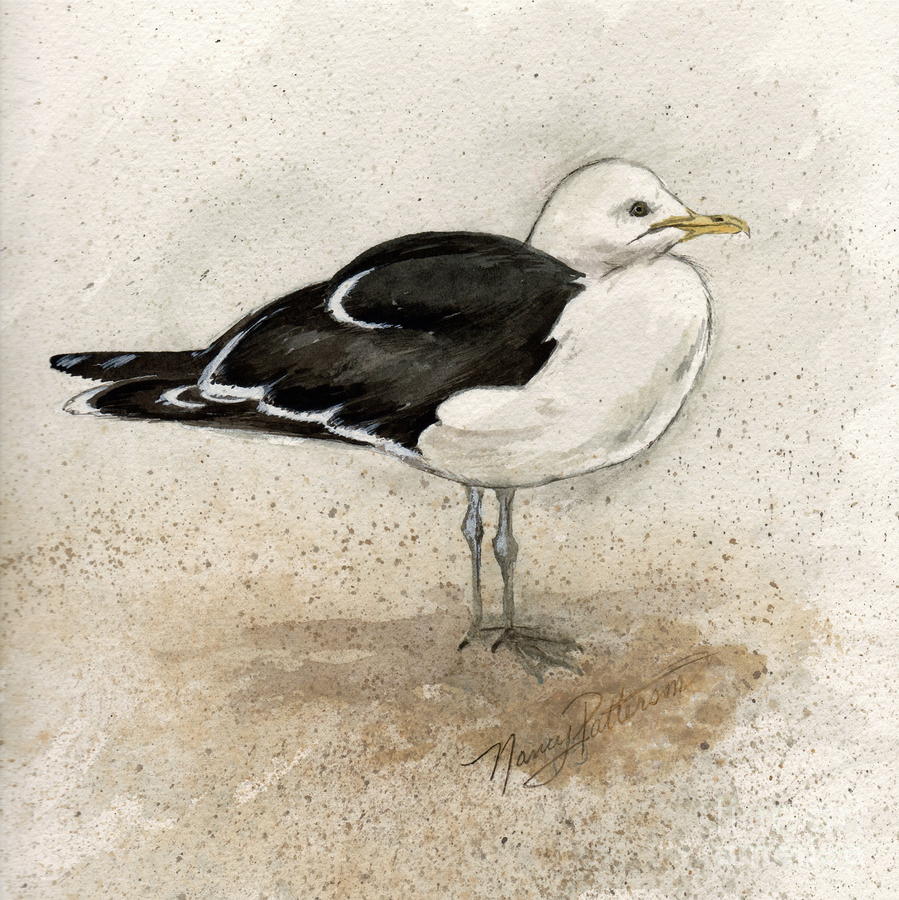 Black Backed Gull  Painting by Nancy Patterson