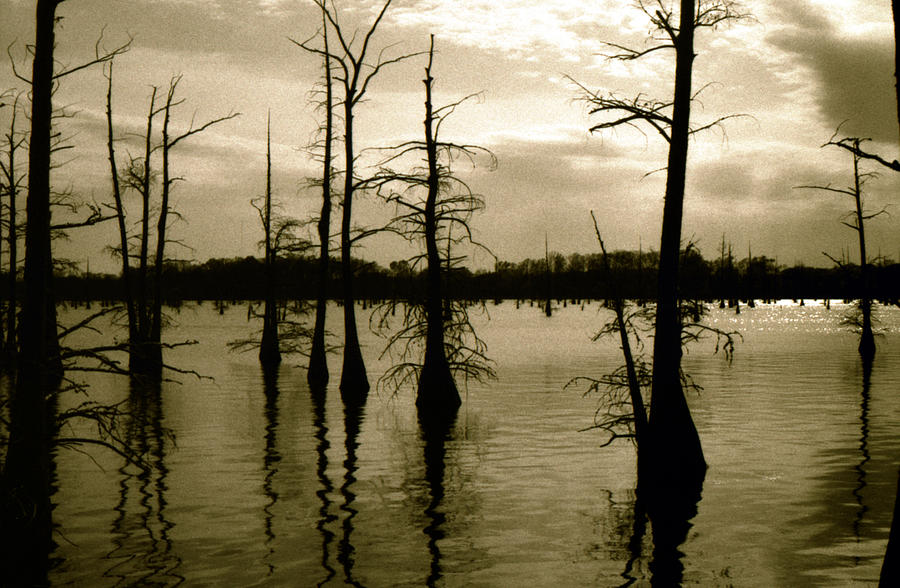 Black Bayou 8 Photograph by Doug Duffey
