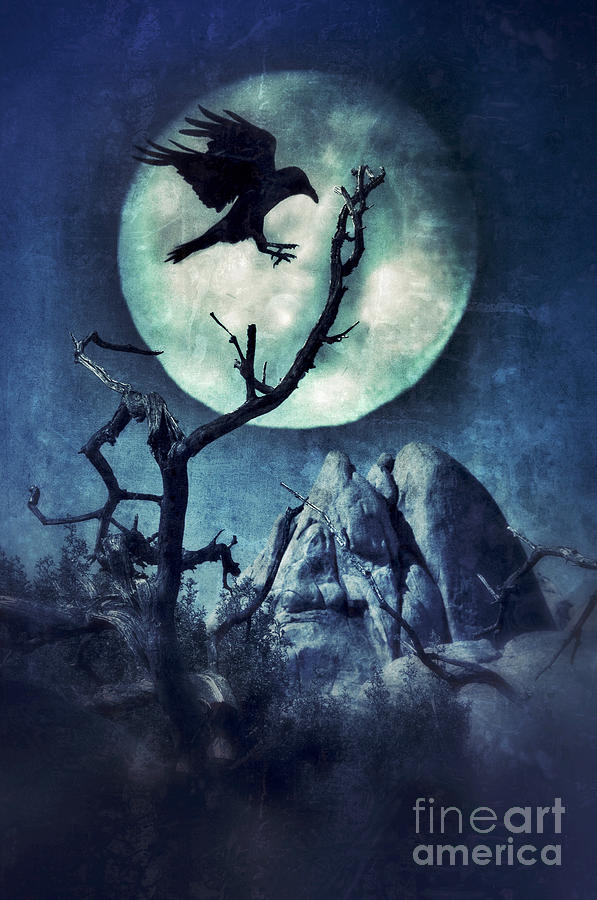 Black Bird Landing on a Branch in the Moonlight Photograph by Jill Battaglia