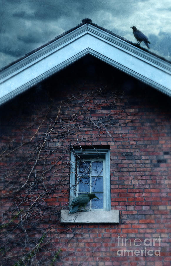 Black Birds on Old House Photograph by Jill Battaglia