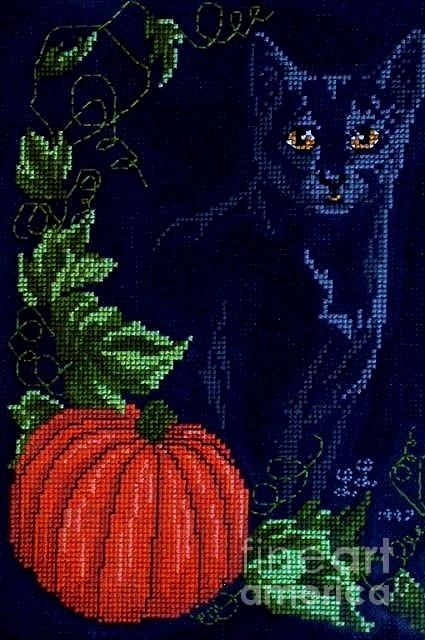 Black Cat Cross Stitch Photograph by Living Color Photography Lorraine Lynch