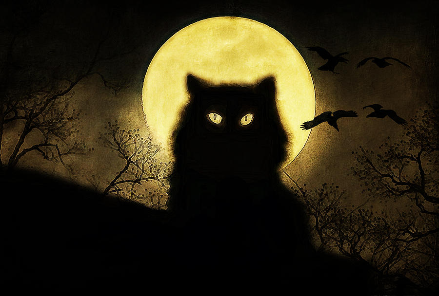 Bird Digital Art - Black Cat by Hazel Billingsley