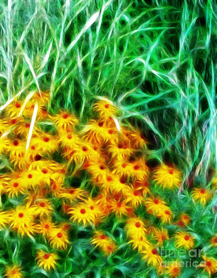 Black Eyed Susan Impressionistic  Photograph by Kathie McCurdy
