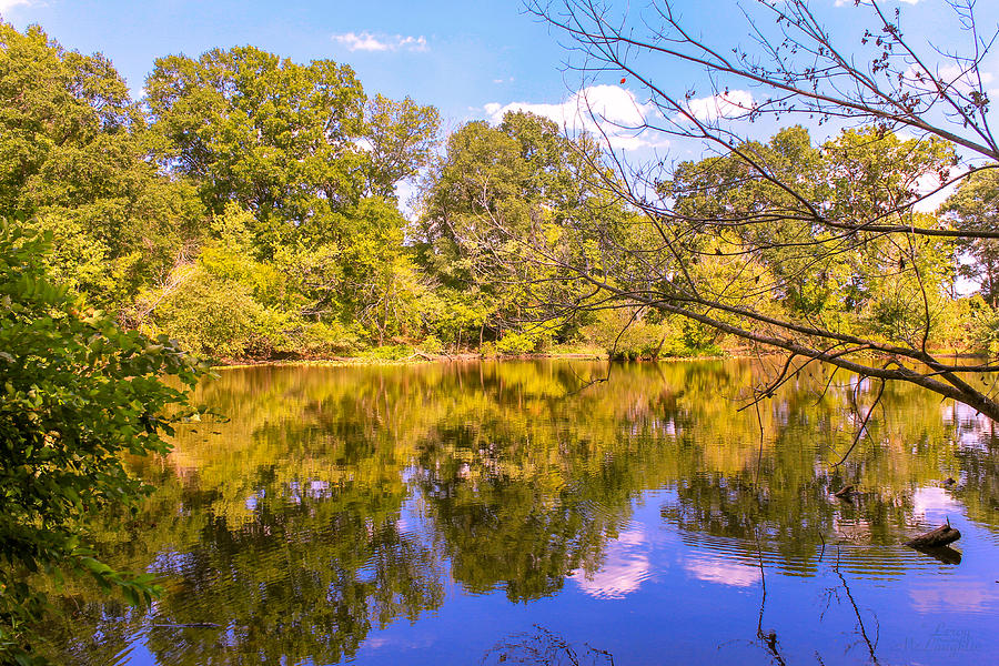 Black Fork 3 Photograph by Leroy McLaughlin Pixels
