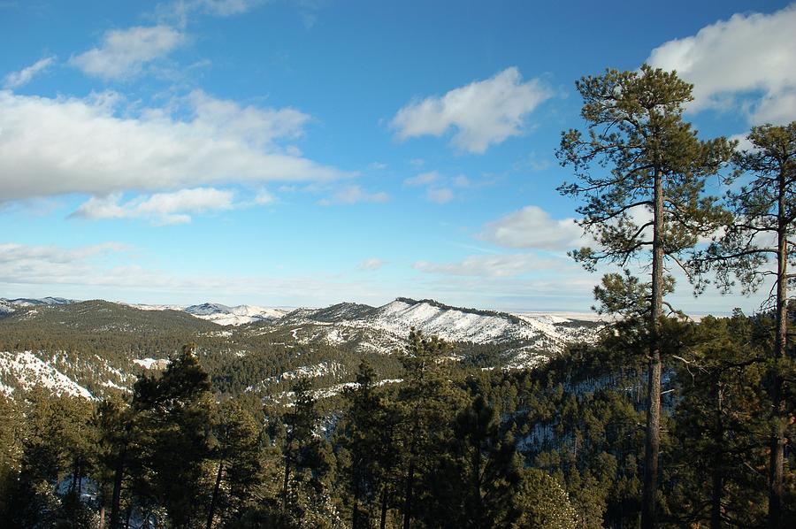 Black Hills Snow Photograph by Greni Graph