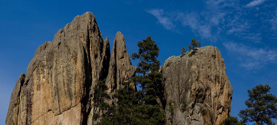 Black Hills South Dakota Photograph By Twenty Two North Photography   Black Hills South Dakota Twenty Two North Gallery 