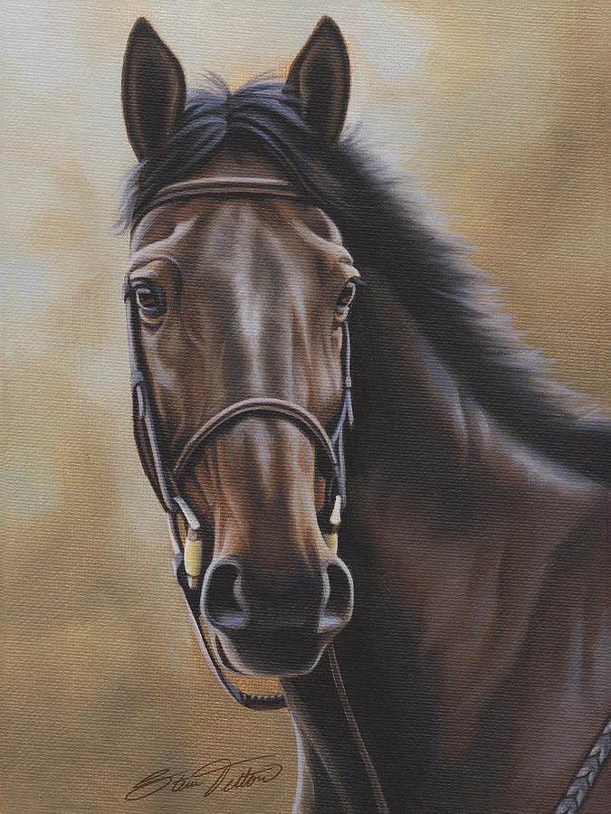 Horse Painting - Black Jack by Steven Tetlow
