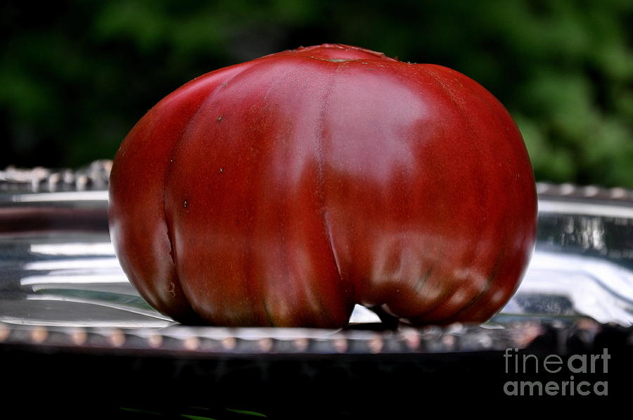 Black Krim Heirloom Tomato Photograph by Tatyana Searcy